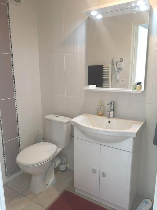Le Studio Charmant A 20Min De Paris Villennes-sur-Seine Ngoại thất bức ảnh